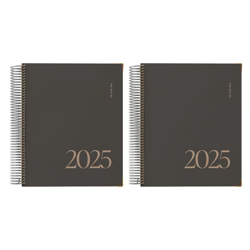 🔥Hot Sale 49%OFF🔥 2025 Daily Planner