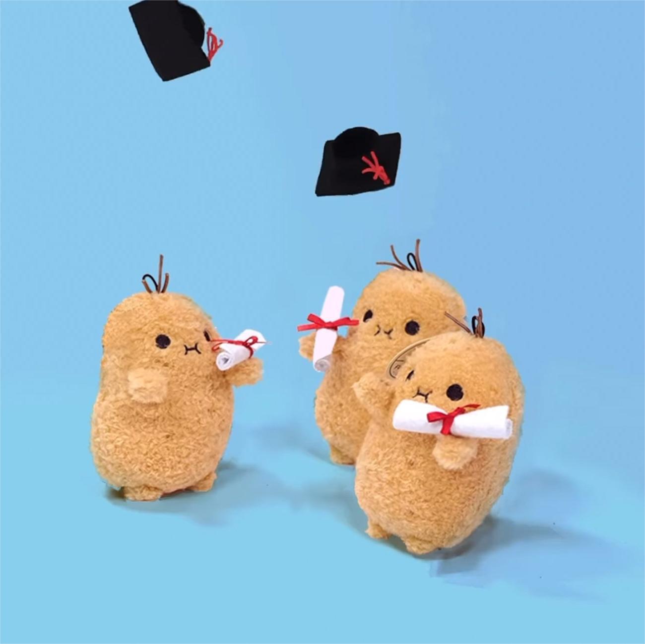 🎓🥔Graduation Cute Potato Spud Plush