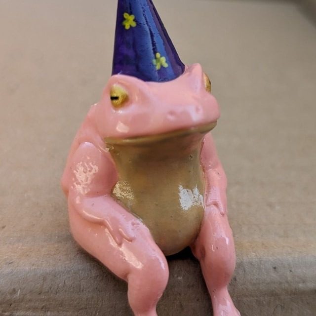 🐸Funny Frog Wizards🐸