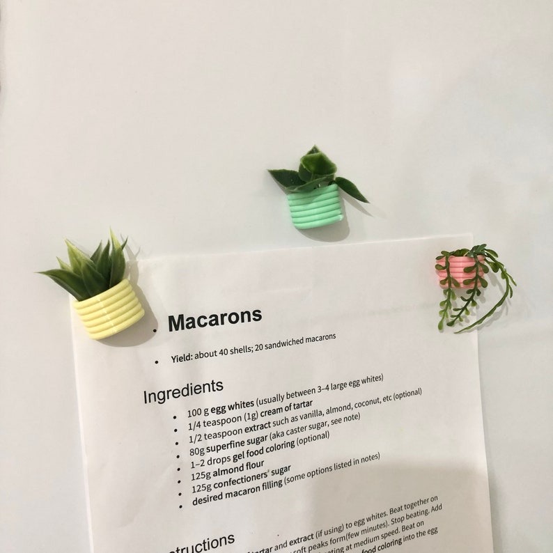 🌾Mini Succulent Fridge Magnet 