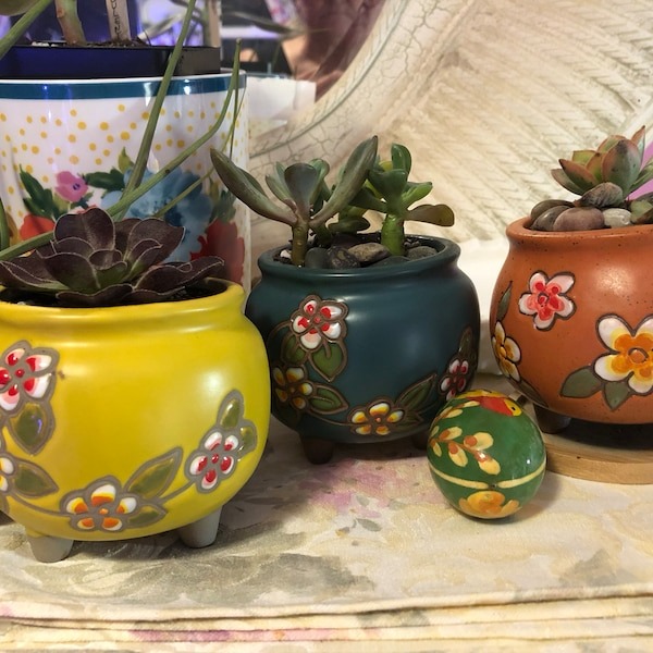 🔥Hot Sale--Exquisite Plant Pots🍀