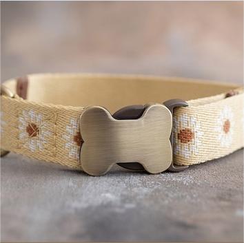 🐕Personalized Puppy Collar