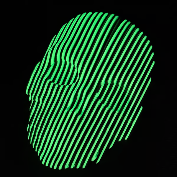 3D Printed Luminous Quantum Skull Glow in the dark