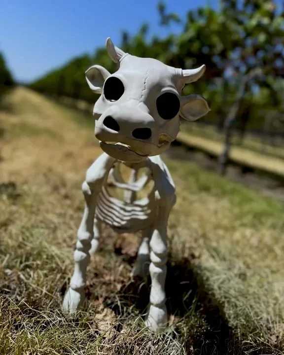 🐂🐎Cow & Horse Skeleton Halloween Decorative Prop🎃