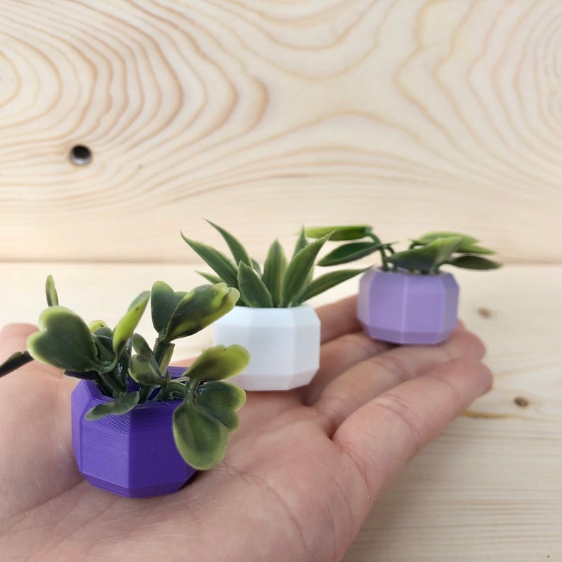🌾Mini Succulent Fridge Magnet 