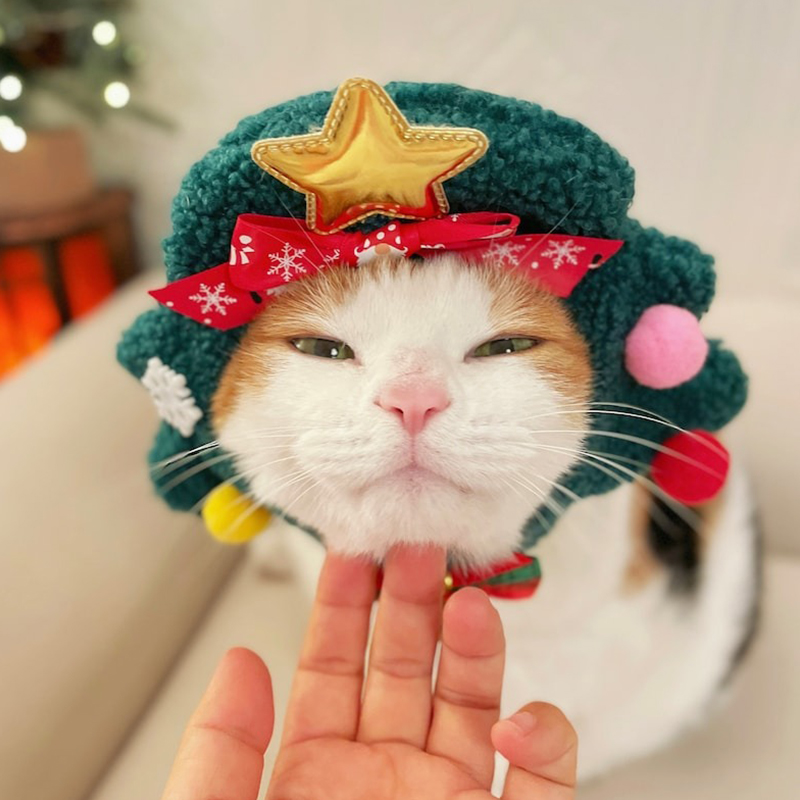 😻Cat Christmas Tree Hat🎄