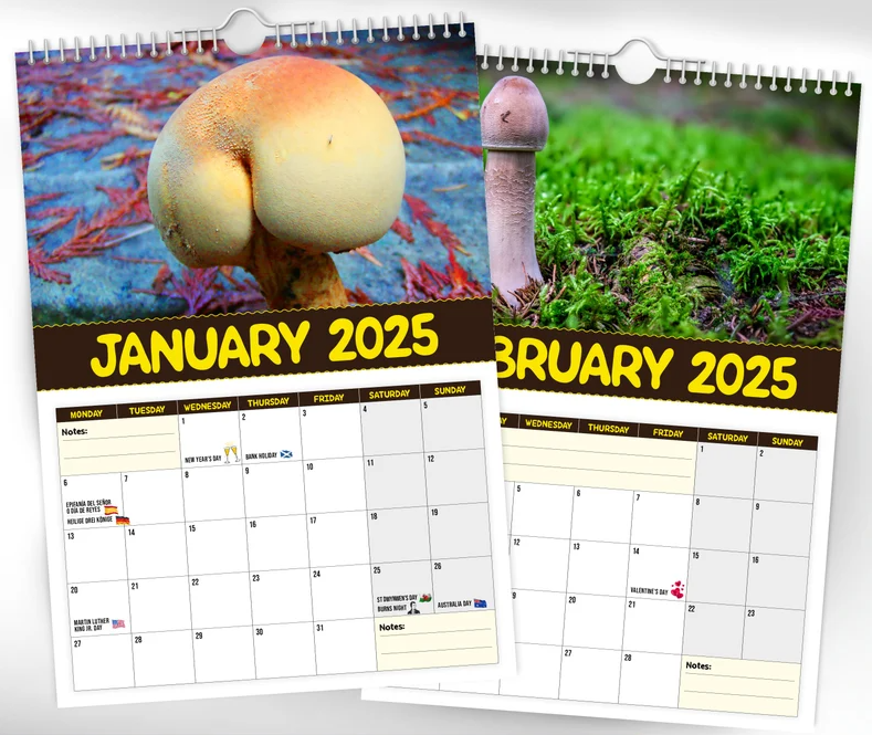 🎅Early Christmas 49%OFF🎅 World's Greatest Mushrooms - 2025 Wall Calendar 
