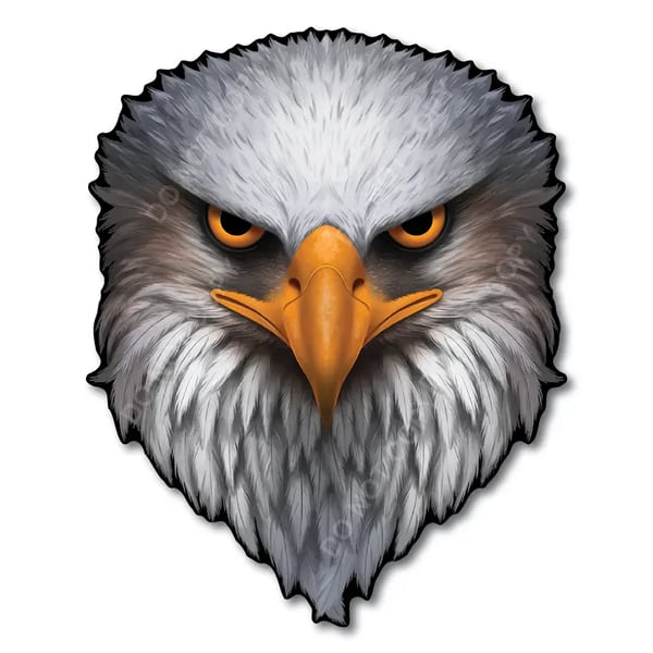 Reflective Eyes Eagle Decal🦅 – Patriotic USA Flag Vinyl Sticker for Trucks, Cars, Coolers, Laptops – Waterproof & Fade-Resistant