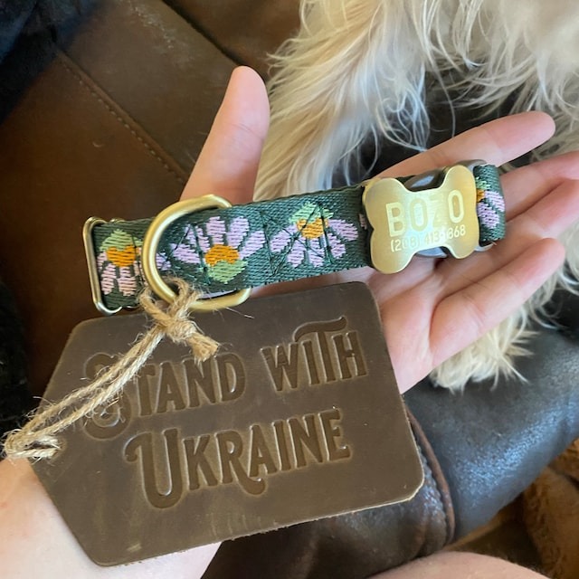 🐕Personalized Puppy Collar