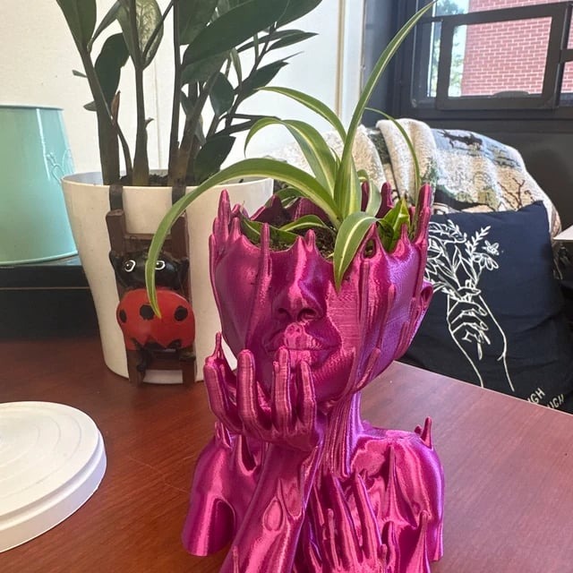 🎍Goddess Head Planter for Eclectic Home Decor