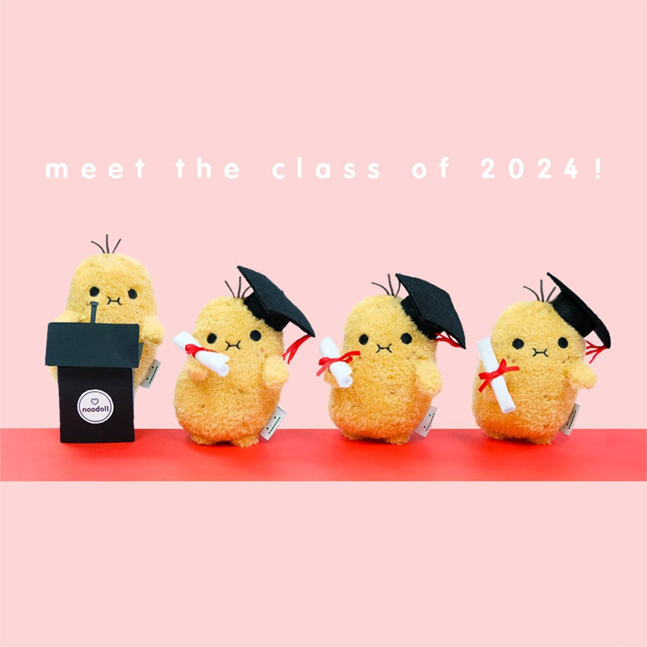🎓🥔Graduation Cute Potato Spud Plush