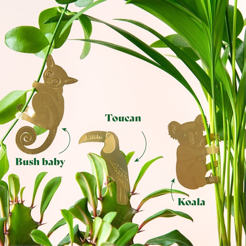 🌿🐾Plant Animal Decorations