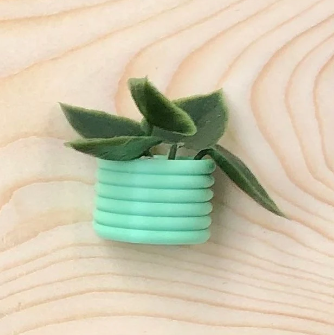 🌾Mini Succulent Fridge Magnet 