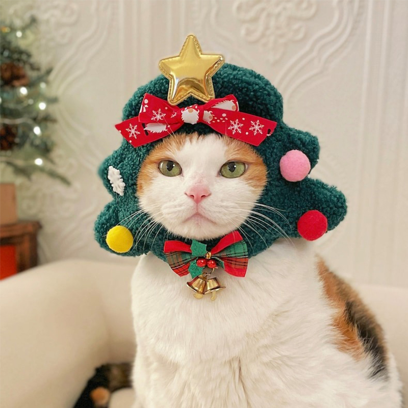 😻Cat Christmas Tree Hat🎄