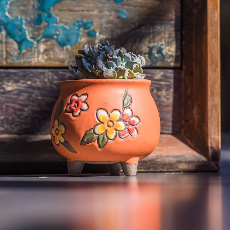 🔥Hot Sale--Exquisite Plant Pots🍀