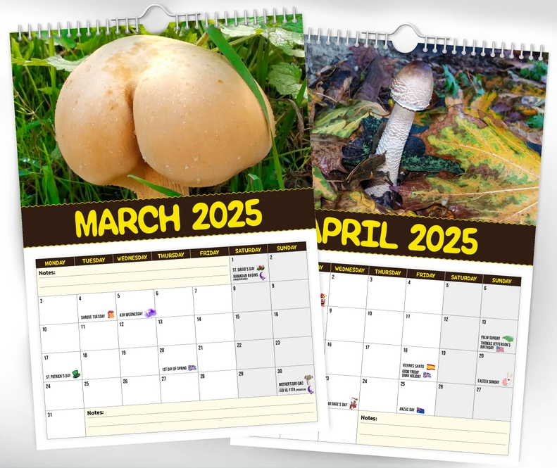 🎅Early Christmas 49%OFF🎅 World's Greatest Mushrooms - 2025 Wall Calendar 