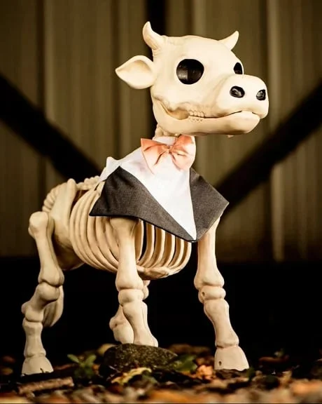 🐂🐎Cow & Horse Skeleton Halloween Decorative Prop🎃