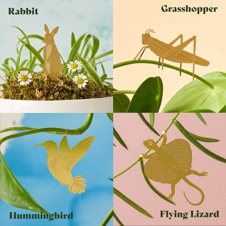 🌿🐾Plant Animal Decorations