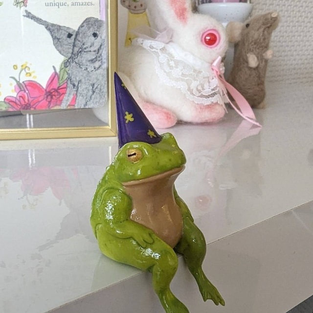 🐸Funny Frog Wizards🐸