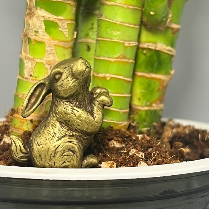 🐰Kissing Brass Rabbit Statue