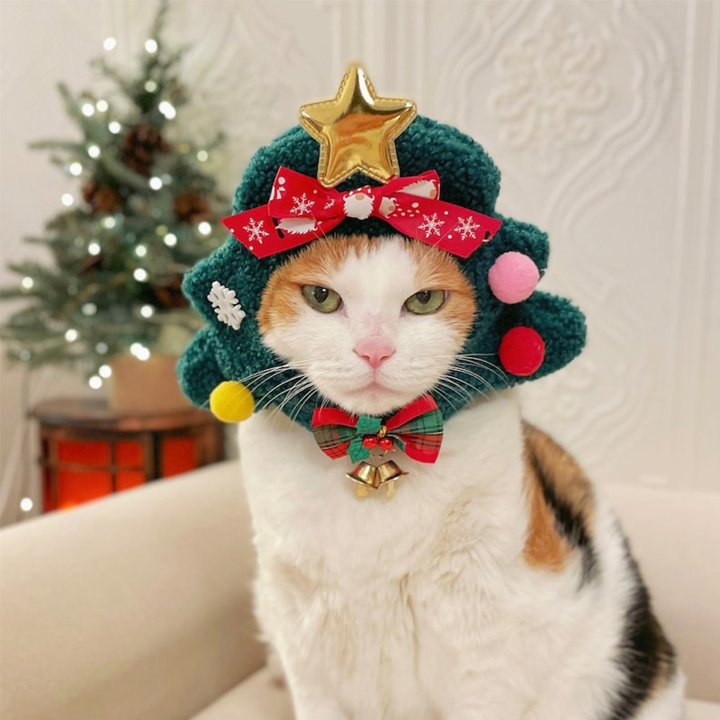 😻Cat Christmas Tree Hat🎄