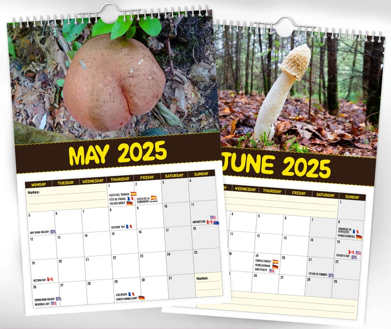🎅Early Christmas 49%OFF🎅 World's Greatest Mushrooms - 2025 Wall Calendar 
