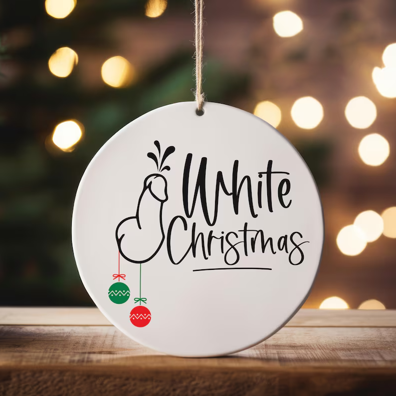 🎅Early Christmas 49%OFF🎅 Funny Adult Christmas Ornament