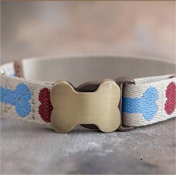 🐕Personalized Puppy Collar