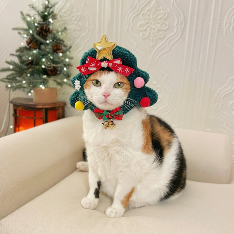 😻Cat Christmas Tree Hat🎄