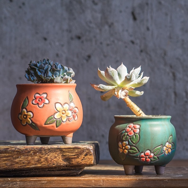🔥Hot Sale--Exquisite Plant Pots🍀