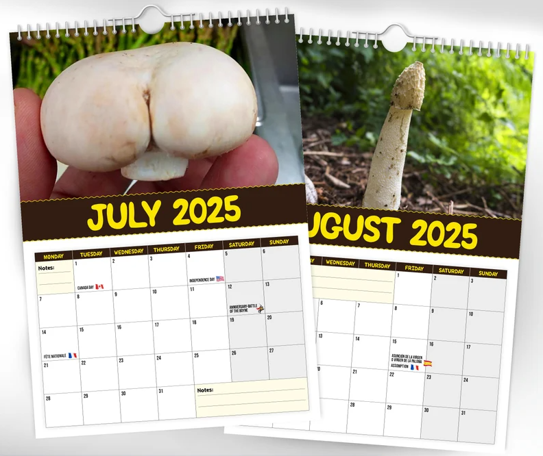 🎅Early Christmas 49%OFF🎅 World's Greatest Mushrooms - 2025 Wall Calendar 