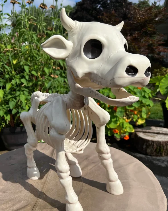 🐂🐎Cow & Horse Skeleton Halloween Decorative Prop🎃