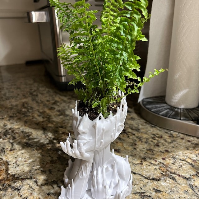🎍Goddess Head Planter for Eclectic Home Decor