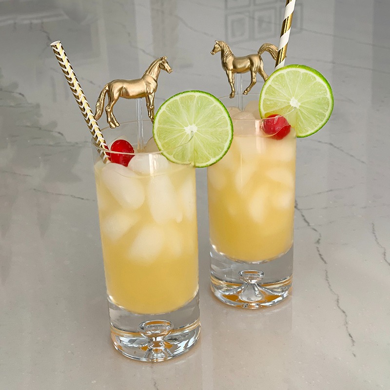 🐎Kentucky Derby Horse Drink Stirrers - Set of 6🥤