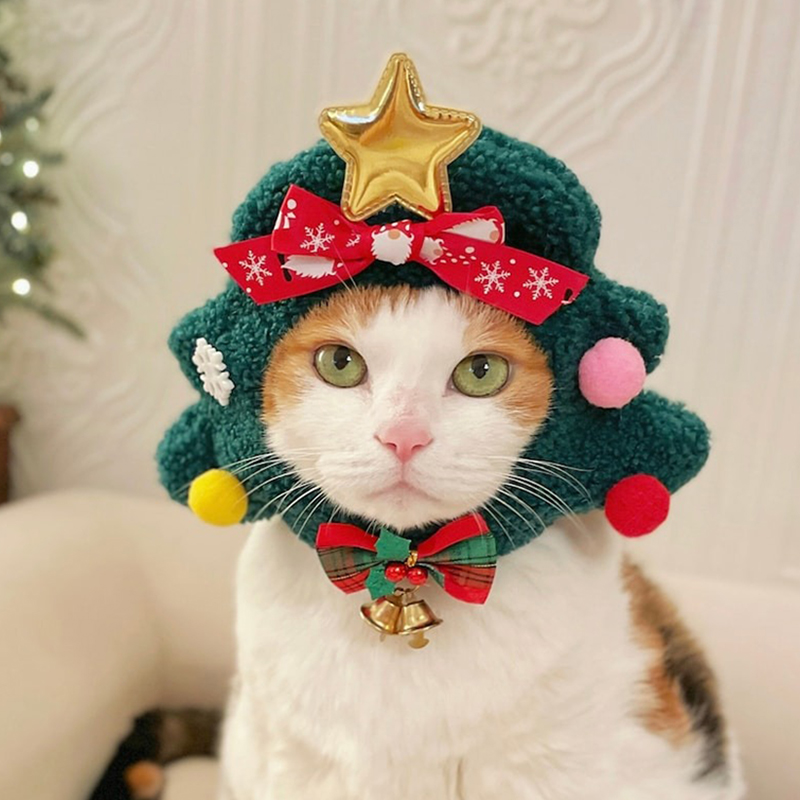 😻Cat Christmas Tree Hat🎄