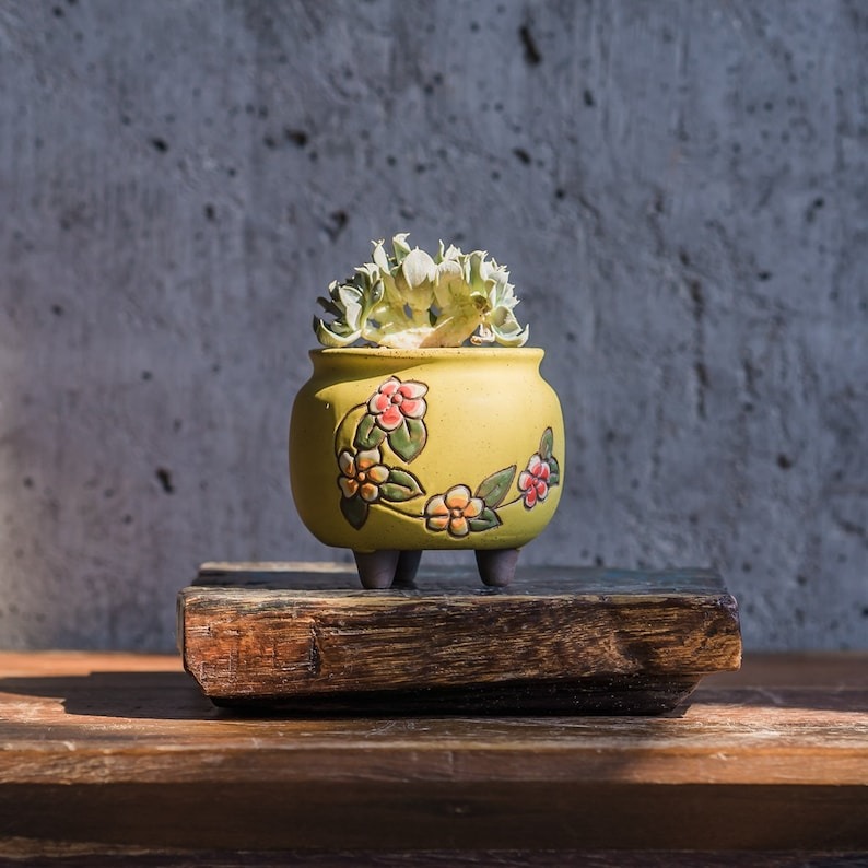 🔥Hot Sale--Exquisite Plant Pots🍀