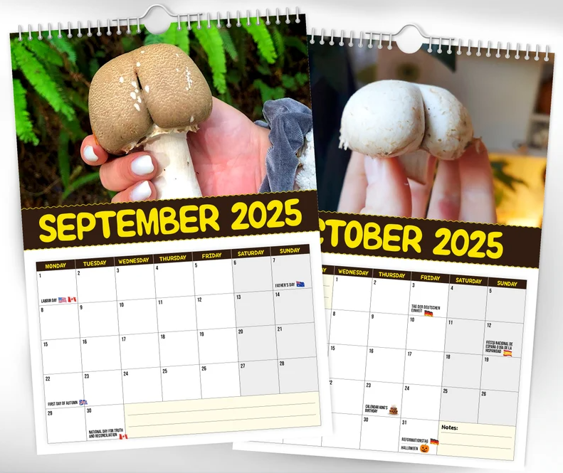 🎅Early Christmas 49%OFF🎅 World's Greatest Mushrooms - 2025 Wall Calendar 
