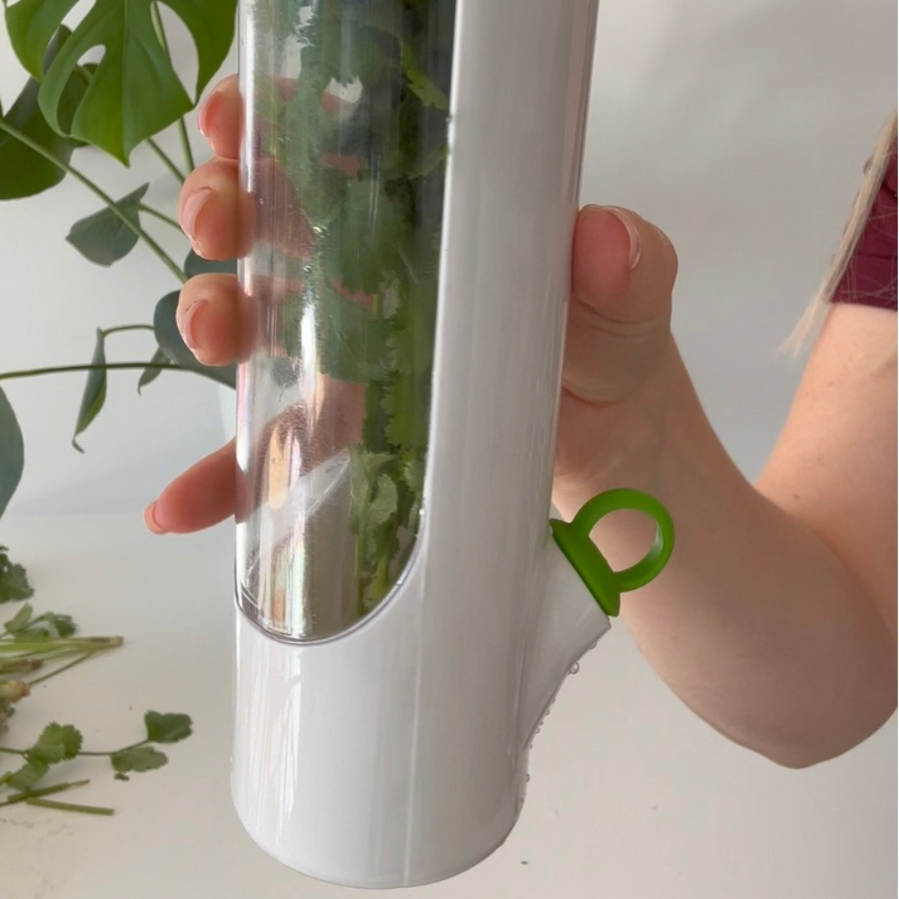 Herb-Preserving Storage Container – Keep Your Herbs Fresh for Longer