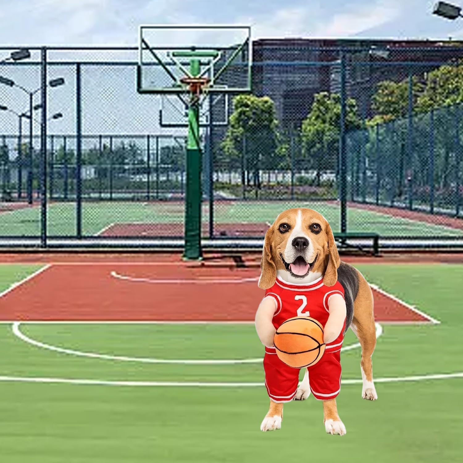 Dog Basketball Costume with Ball