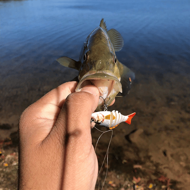 🐟Micro Jointed Swimbait🔥