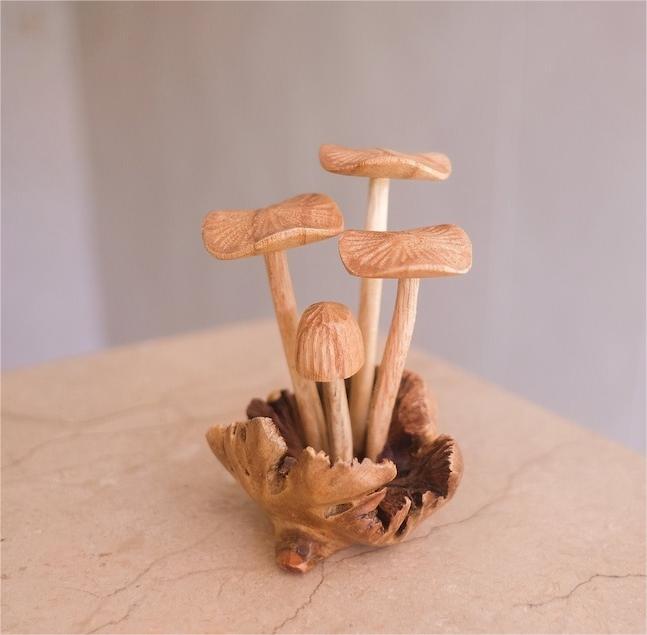 🍄Wooden Mushroom Decoration