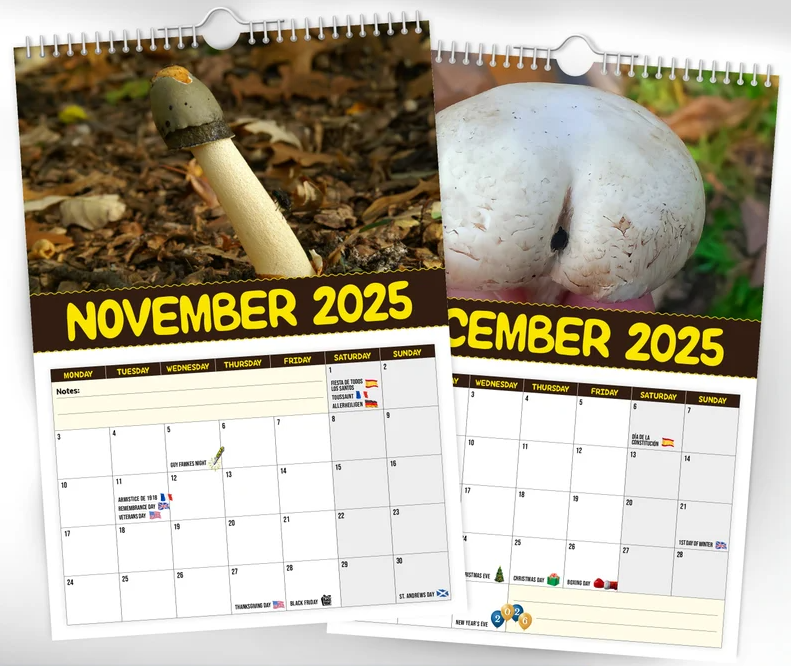 🎅Early Christmas 49%OFF🎅 World's Greatest Mushrooms - 2025 Wall Calendar 