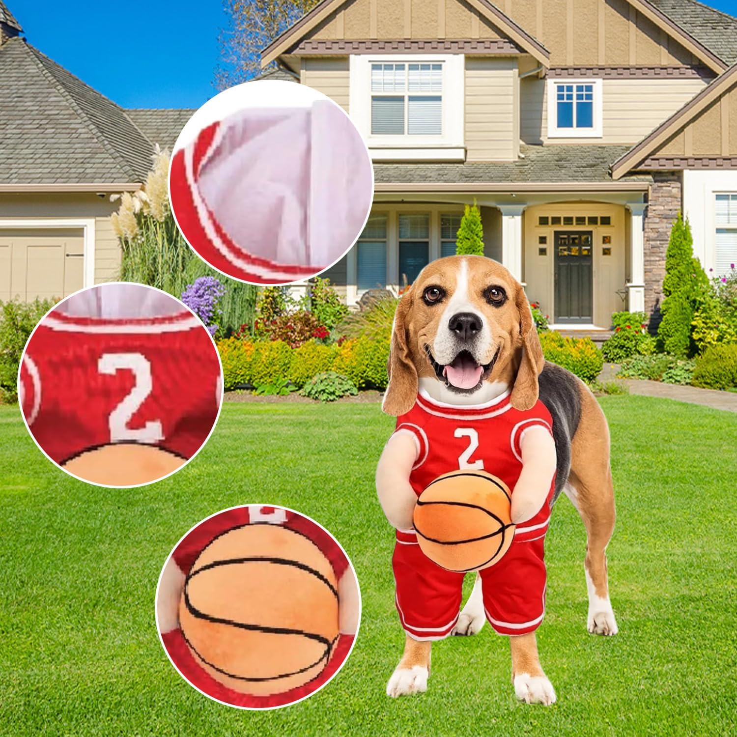 Dog Basketball Costume with Ball