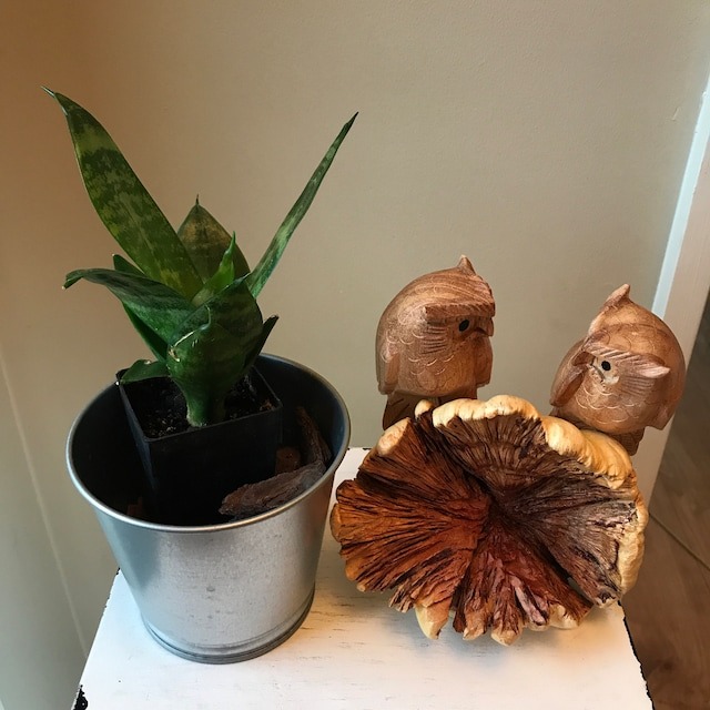 🦉Wooden Owl Handmade Deco