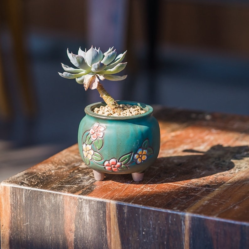 🔥Hot Sale--Exquisite Plant Pots🍀