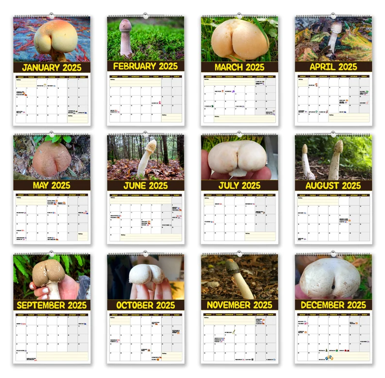 🎅Early Christmas 49%OFF🎅 World's Greatest Mushrooms - 2025 Wall Calendar 