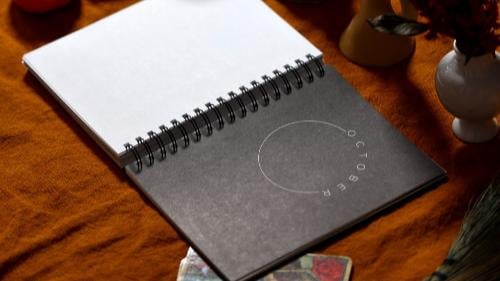 📚2025 Many Moons Lunar Planner