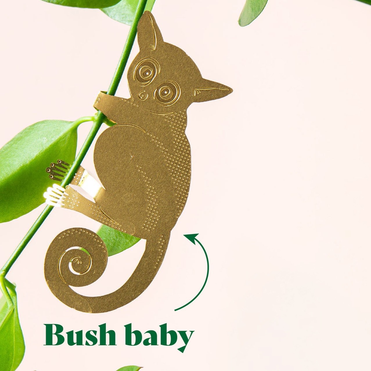 🌿🐾Plant Animal Decorations