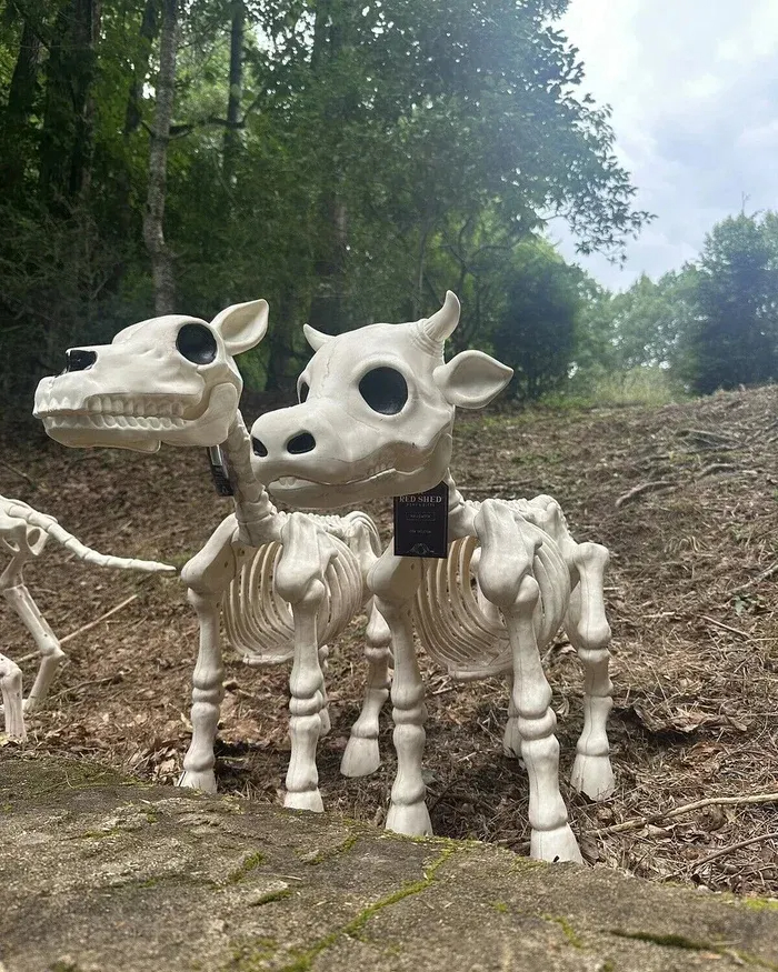 🐂🐎Cow & Horse Skeleton Halloween Decorative Prop🎃