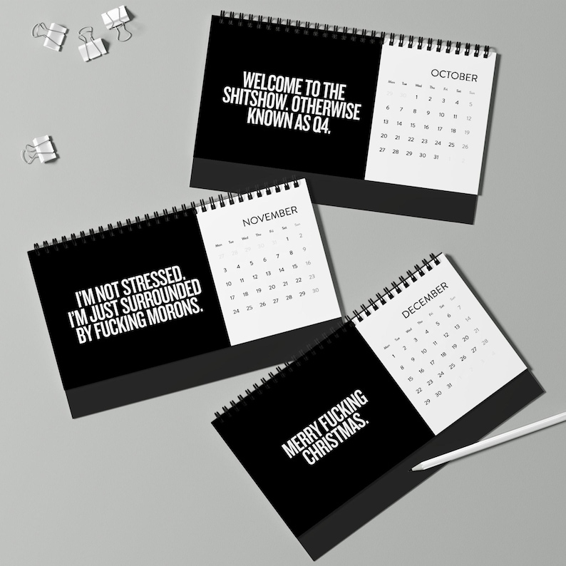 Sh*t I Want To Say At Work 2025 Calendar